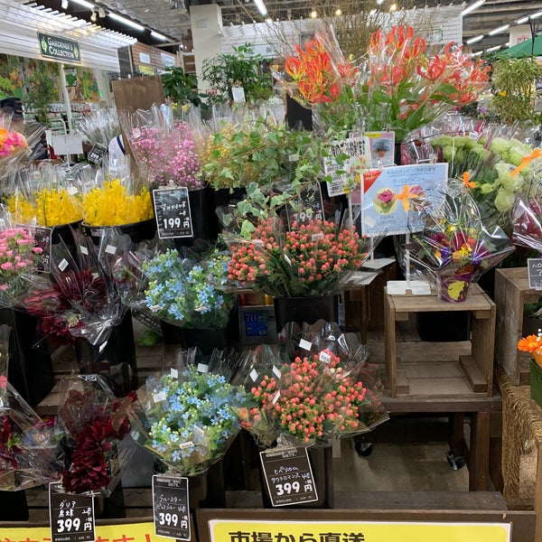 ホームセンターバロー 浜松浜北店 1つのtip ホームセンターバロー 浜松浜北店 1つのtip