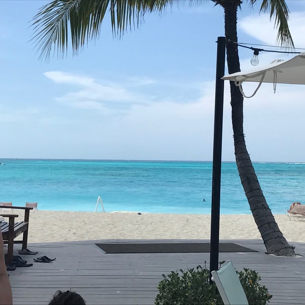 Ист пор. Вилла роз крым. Ист пор. Ист пор. A wife and mother эйден.