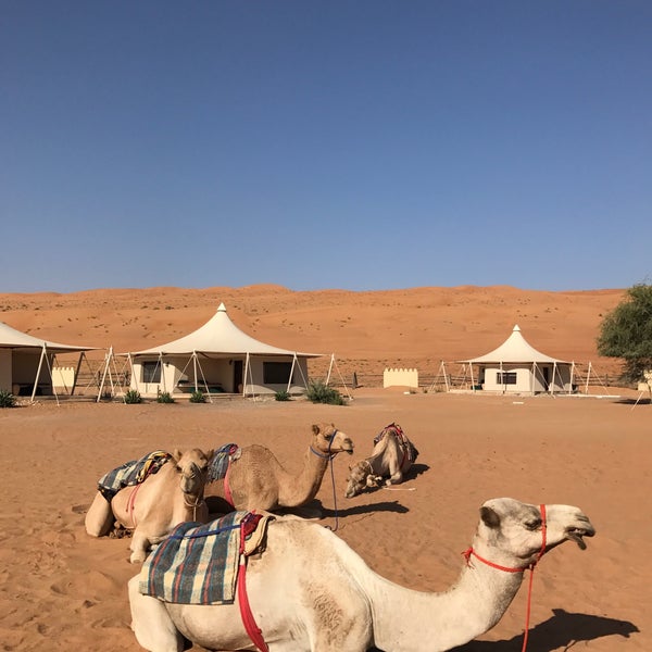 10/28/2016 tarihinde James M.ziyaretçi tarafından Desert Nights Camp Al Wasil'de çekilen fotoğraf
