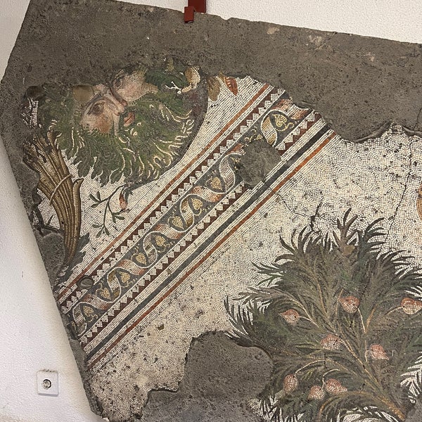 11/20/2022에 Mert님이 Büyük Saray Mozaikleri Müzesi에서 찍은 사진
