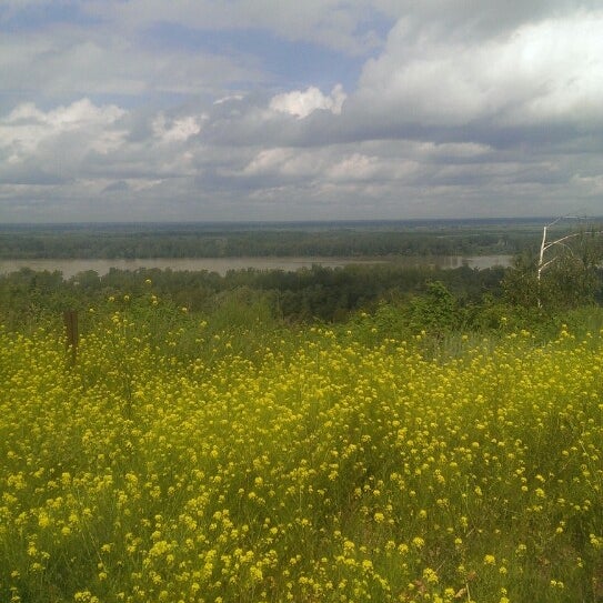 Село луги, виницкой обл. Поселок луговой московская область. Д луговая. Деревня. Луговое ульяновская область.