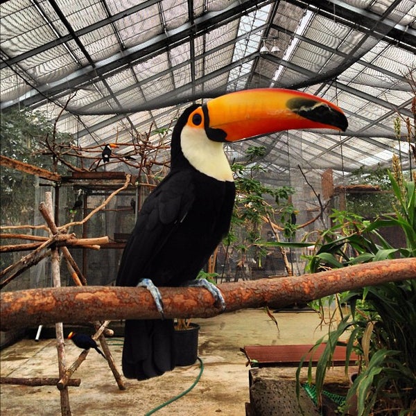Photos at 神戸どうぶつ王国 (Kobe Animal Kingdom) - Zoo in 中央区 Photos at 神戸どうぶつ王国 (Kobe Animal Kingdom) - Zoo in 中央区