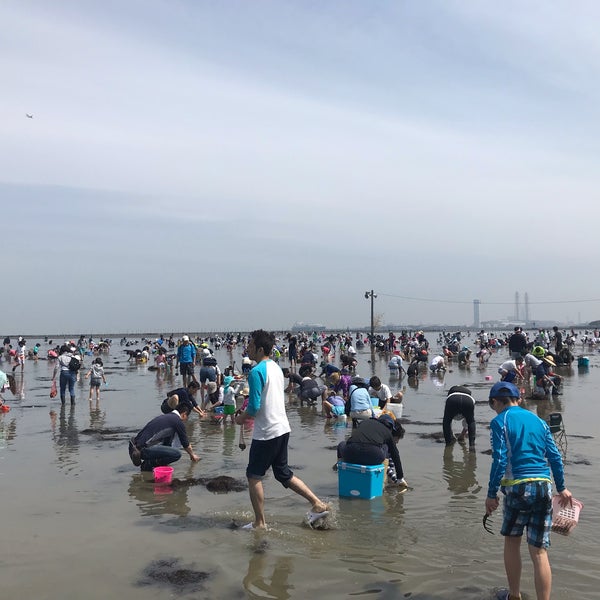 富津海岸潮干狩り場 富津市 5 Tips From 327 Visitors 富津海岸潮干狩り場 富津市 5 Tips From 327 Visitors