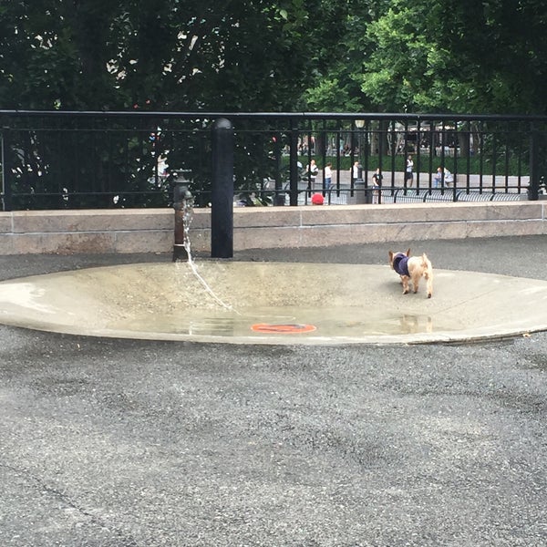 Sirius dog run 2025