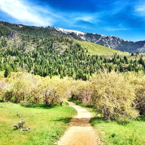 Little Cottonwood Canyon 8 tips from 683 visitors