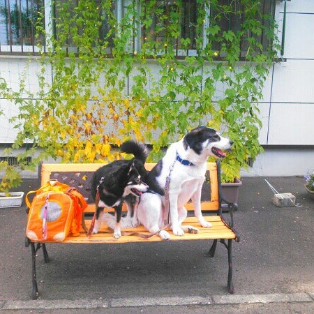Photos At あいの里動物病院 Veterinarian In 札幌市