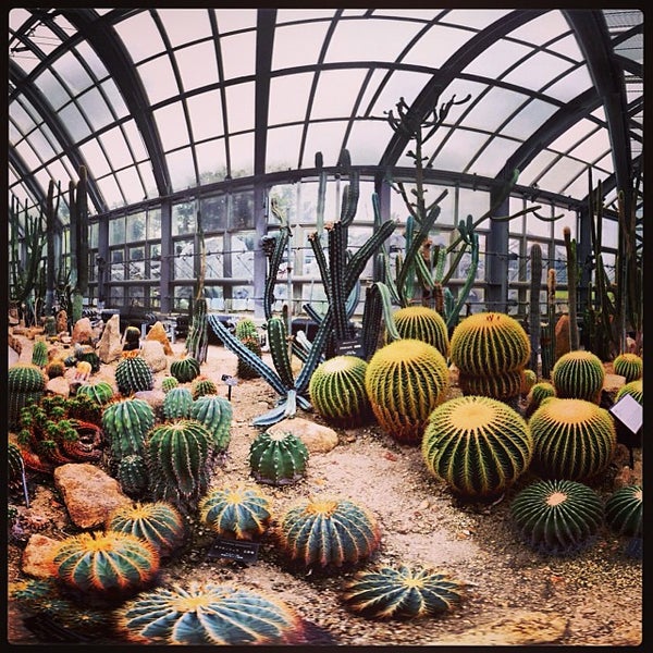 観覧温室 Garden In 京都市 観覧温室 Garden In 京都市