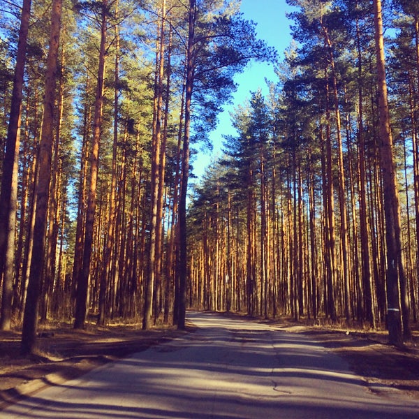 Всеволожск красивые места