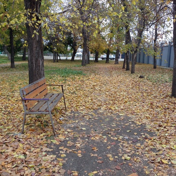 Шершни псковская область. Шершни псковская область