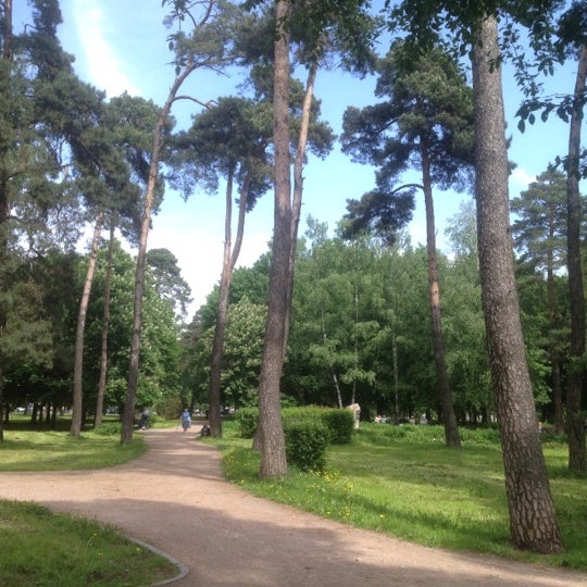 Парк Сосенки Фото Парк Сосенки Фото