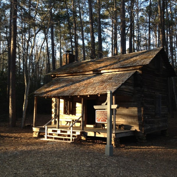building a log cabin from pine building a log cabin from pine