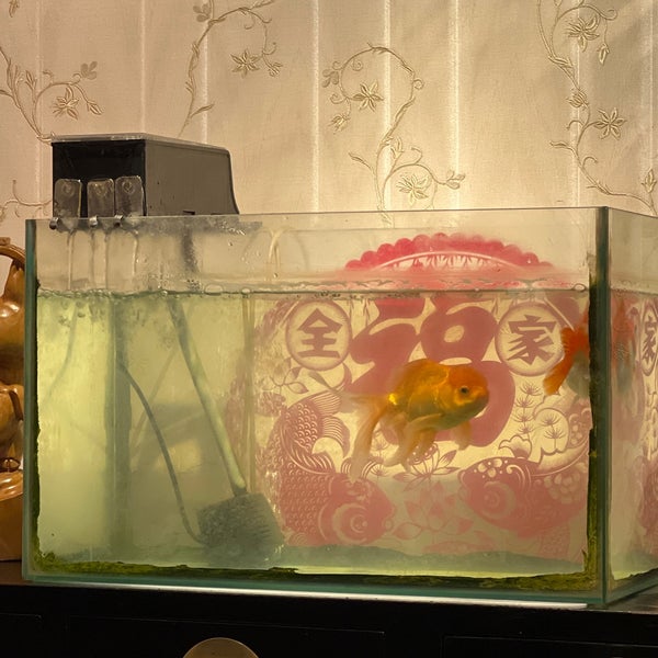 Photos at Gao's Foot Massage Massage Studio