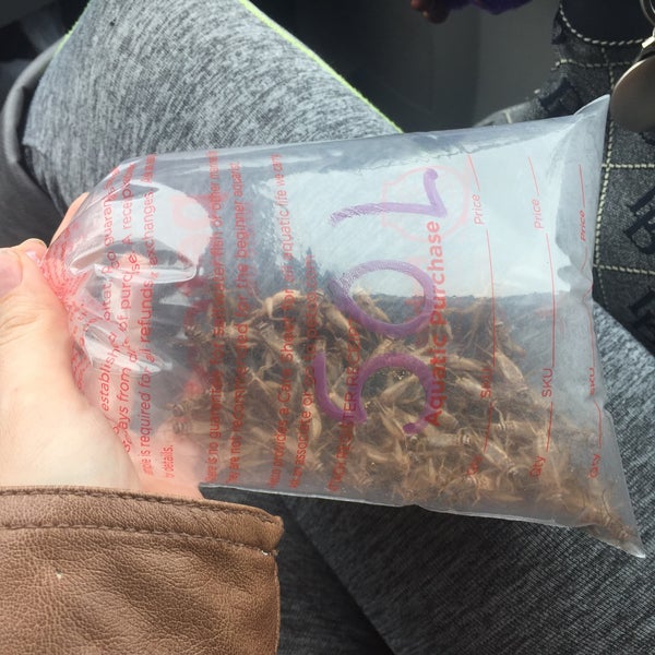 Petco Pet Supplies Store in Milford