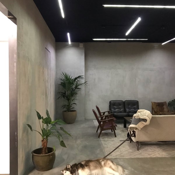 Public Space Coffee Shop In Amsterdam