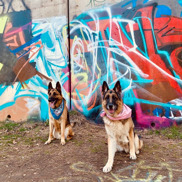 Spokanimal Dog Park At High Bridge Spokane Wa Best Image