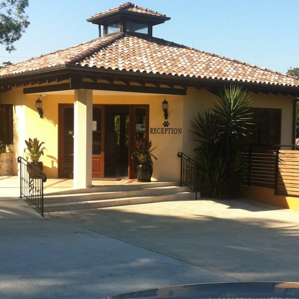 Pet Resort Australia Pet Service in Terrigal