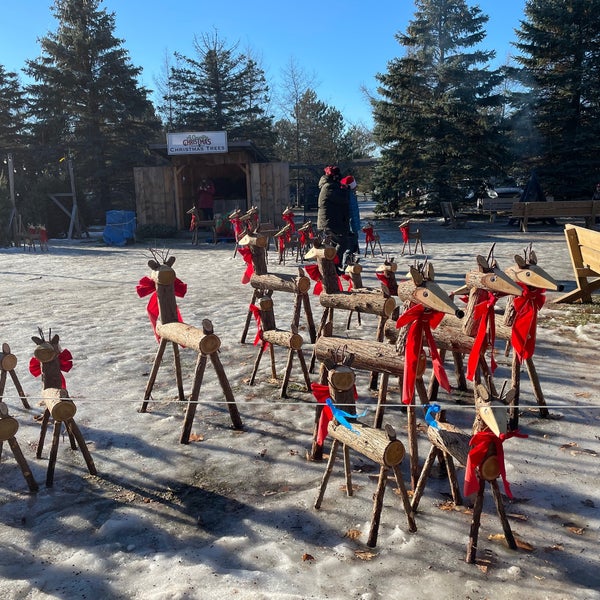 Saunders Farm Farm in Munster