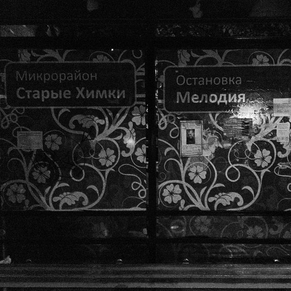 Магазин Мелодия Киров
