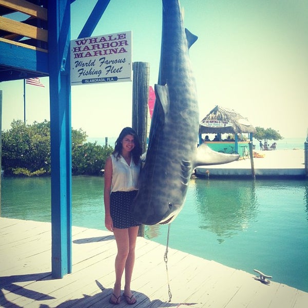 Whale Harbor Marina 5 tips