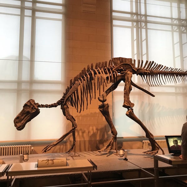 Photo taken at Museum of Natural Sciences by Egemen G. on 12/30/2018