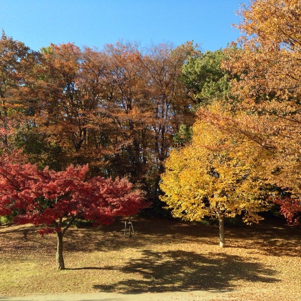 Photos At 東浦和中央公園 緑区 さいたま市 埼玉県