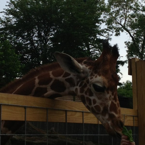 Foto diambil di Elmwood Park Zoo oleh Kimberly S. pada 6/15/2013