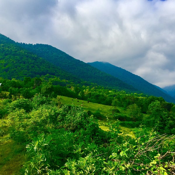 Balakən | Balakan | Белоканы