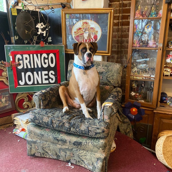 Gringo Jones Imports Antique Store in Saint Louis
