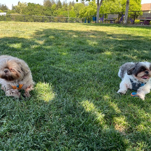 Dougherty Hills Dog Park Dog Park