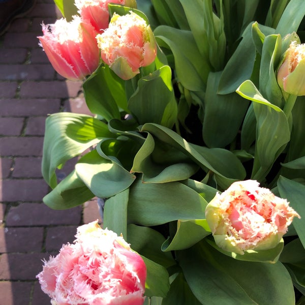 Foto tirada no(a) Amsterdam Tulip Museum por Dianna 4. em 11/25/2019