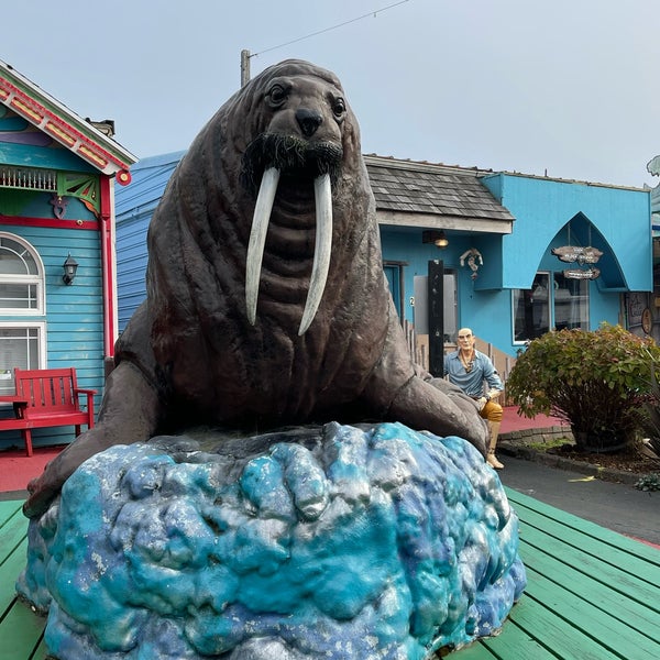 Aquarium Village 158 visitors