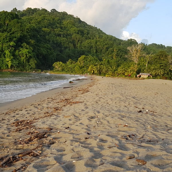 Grande Riviere Beach Beach in Grande Riviere