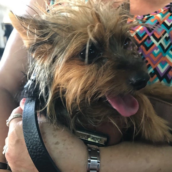 Aeropuerto de La Rioja Capitán Vicente Almandos Almonacid (IRJ