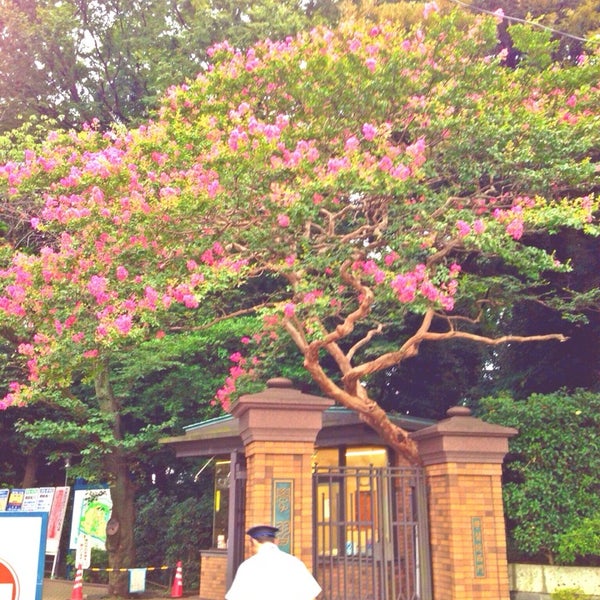 学習院幼稚園 豊島区の幼稚園 学習院幼稚園 豊島区の幼稚園