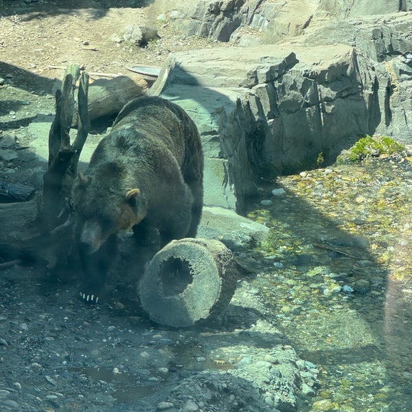 4/26/2024にJoshua G.がセントラルパーク動物園で撮った写真