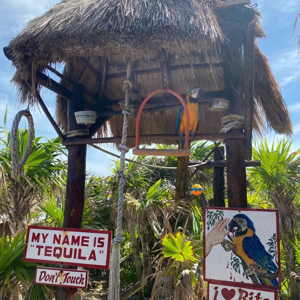 Photos at Coconuts Bar in Cozumel