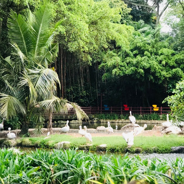Foto tirada no(a) Jurong Bird Park por Grace em 11/14/2020