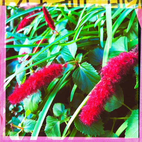 Photos At 世田谷北沢郵便局 北沢 0 Tips