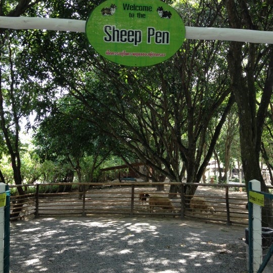Photos At Black Sheep Farm