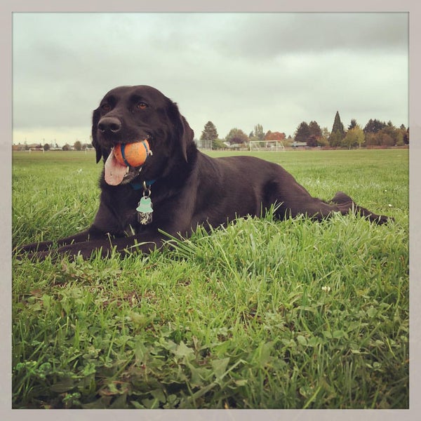 Photos at Neil Armstrong Middle School Middle School in Forest Grove