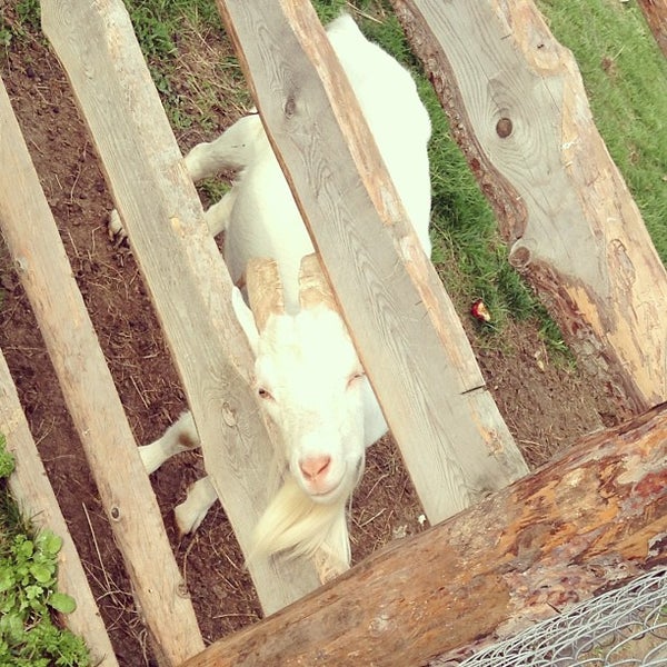 Ферма хей дей 44 уровень. Конструктор счастливая ферма 39 деталей. Каркас коровника. Ферма 45. 2), 45 дет.