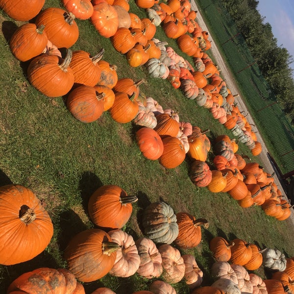 Photo taken at Curtis Orchard &amp; Pumpkin Patch by Roberto R. on 10/7/2018
