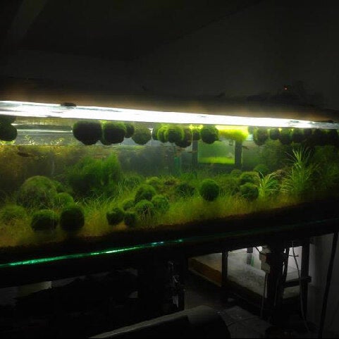 Marimo сущевская ул 21 стр 10 фото