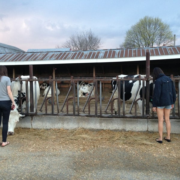 5/1/2014 tarihinde Marisa D.ziyaretçi tarafından Flayvors of Cook Farm'de çekilen fotoğraf