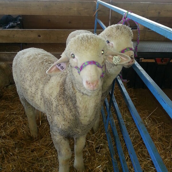 Howard County Fairgrounds 5 tips