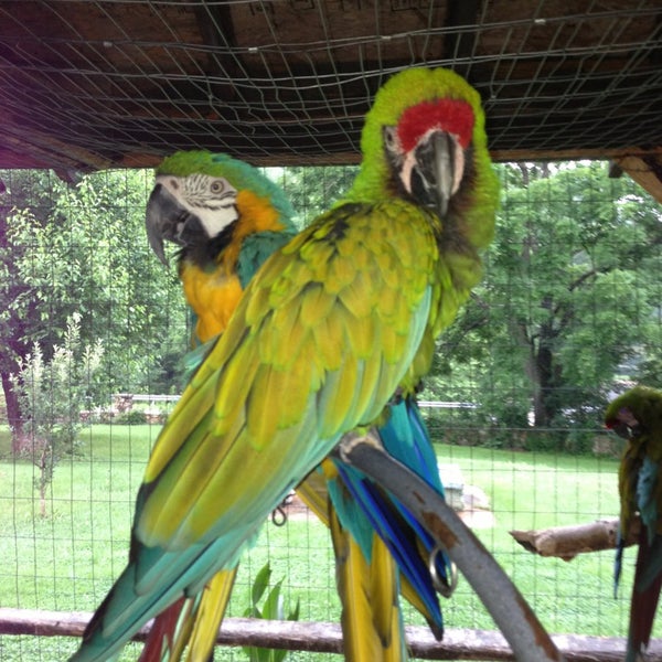Photos At Tri State Zoological Park 10210 Cottage Inn Ln Ne