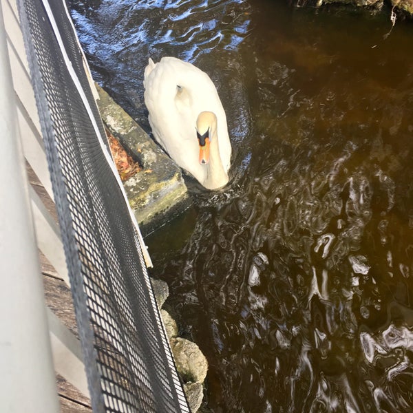 Das Foto wurde bei Bonaventure Resort &amp; Spa von Elizabeth L. am 2/12/2018 aufgenommen