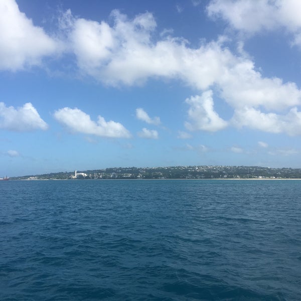 12/13/2016 tarihinde Riki T.ziyaretçi tarafından Atlantis Submarines Barbados'de çekilen fotoğraf