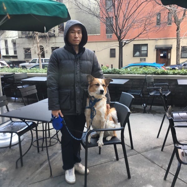 Starbucks Coffee Shop in Yorkville