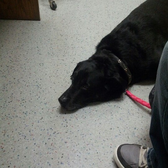 Pleasanton Veterinary Hospital 37 visitors